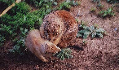 Taken by Narelle Bowmaker