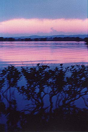 Taken by Narelle Bowmaker