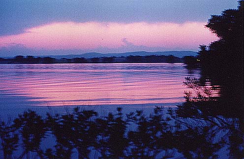 Taken by Narelle Bowmaker