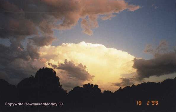 Taken by Narelle Bowmaker