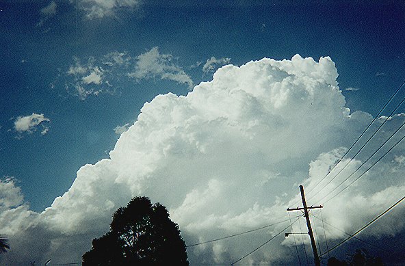 Taken by Narelle Bowmaker