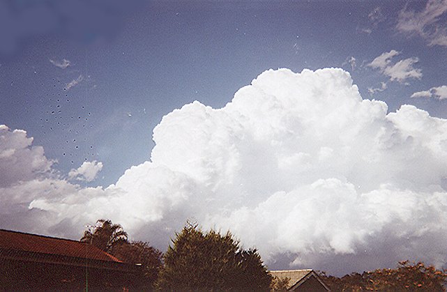 Taken by Narelle Bowmaker