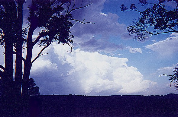 Taken by Narelle Bowmaker