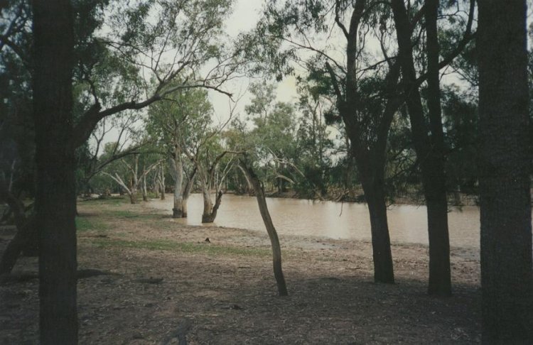 Taken by Paul Miracki