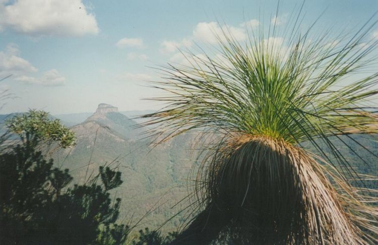 Taken by Paul Miracki