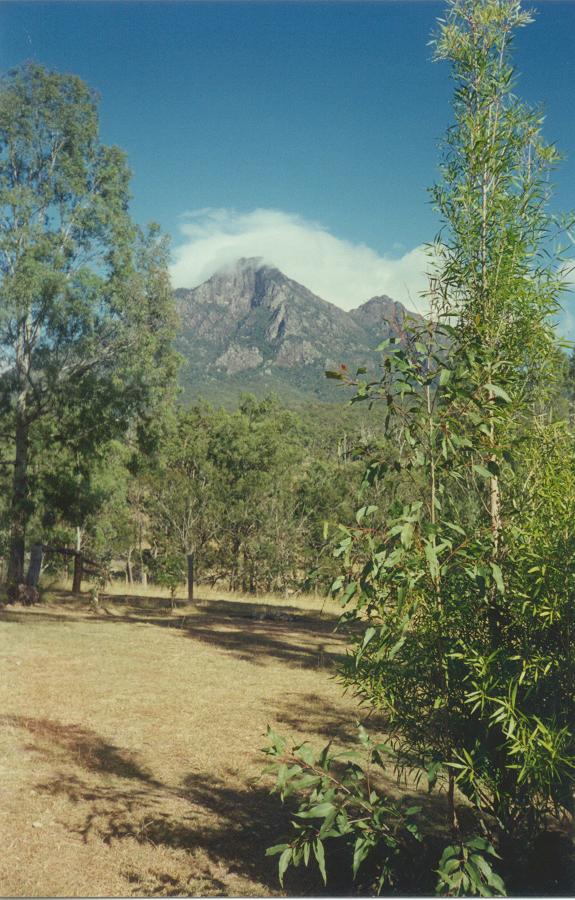 Taken by Paul Miracki