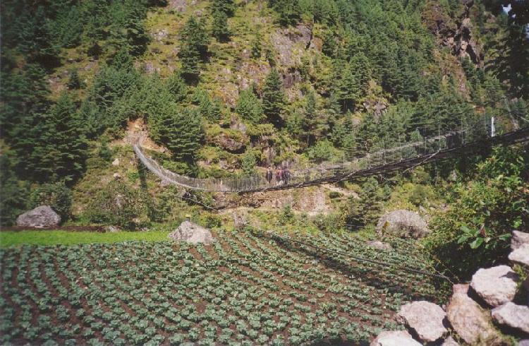 Taken by Paul Miracki