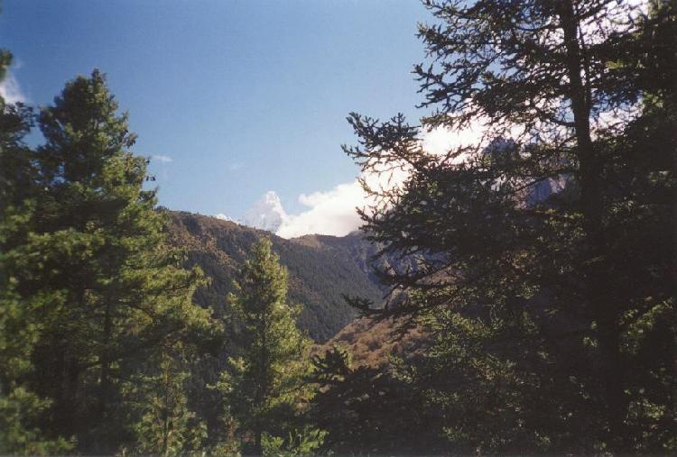 Taken by Paul Miracki