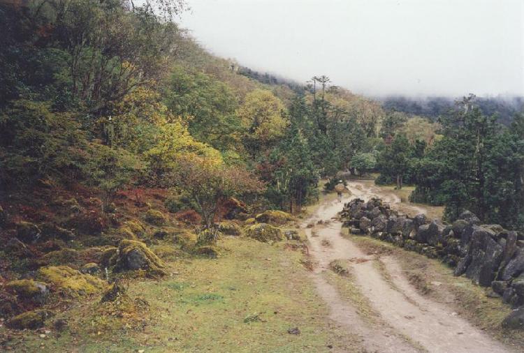 Taken by Paul Miracki