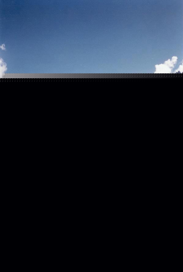 Taken by Paul Miracki