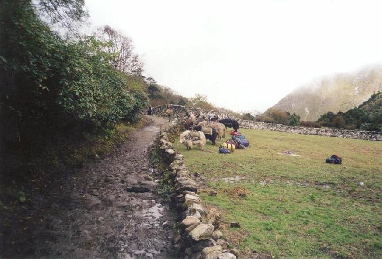 Taken by Paul Miracki