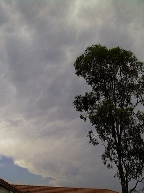 Taken by Ross Portas