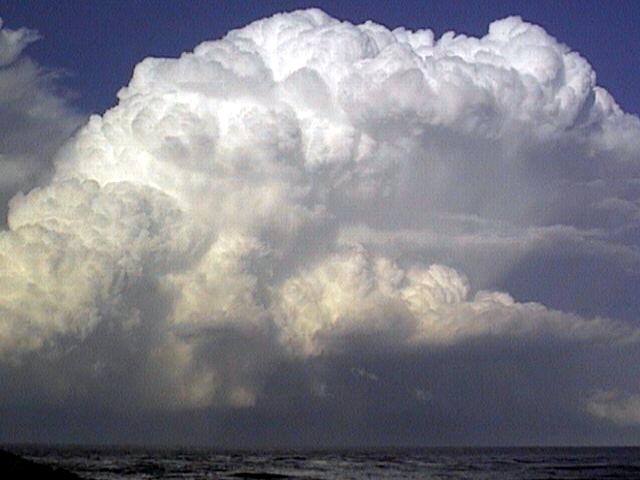 Taken by Ross Portas