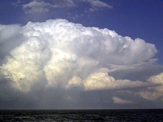 Taken by Ross Portas