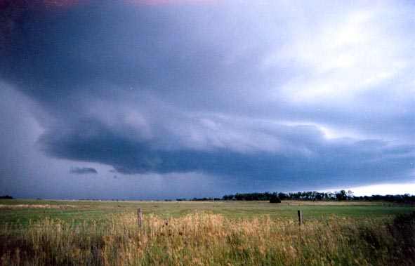 Taken by Ross Portas