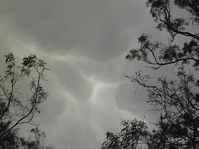 Taken by Ross Portas