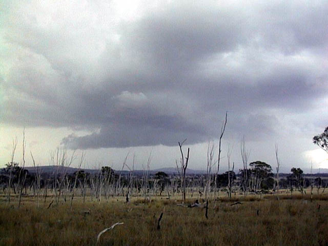 Taken by Ross Portas