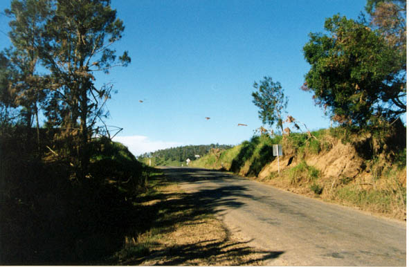 Taken by Ross Portas