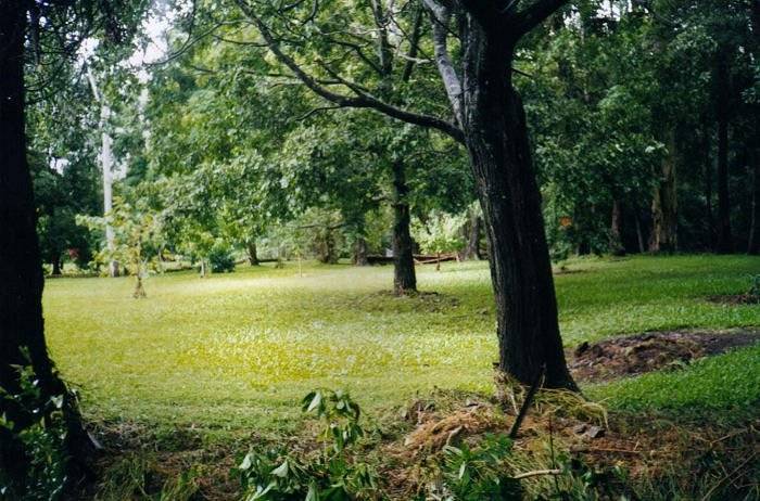 Taken by Sam McDonald