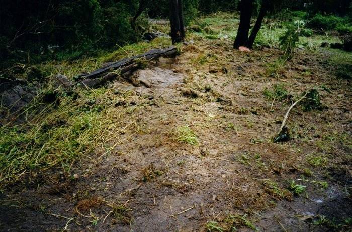 Taken by Sam McDonald