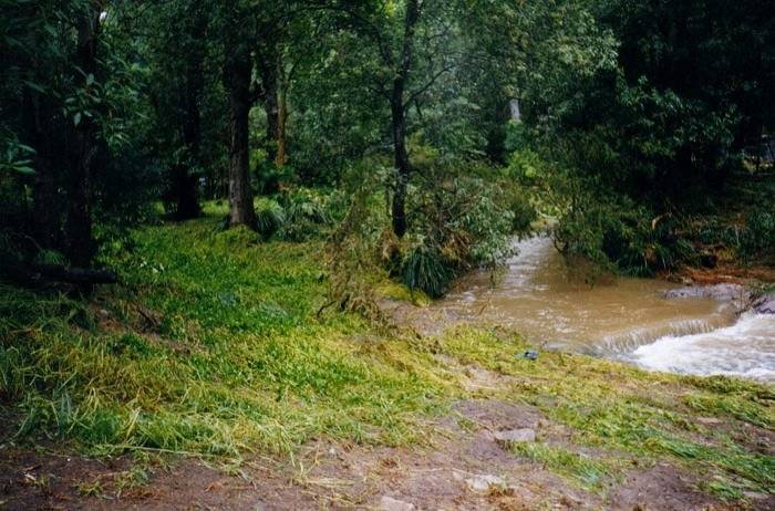 Taken by Sam McDonald