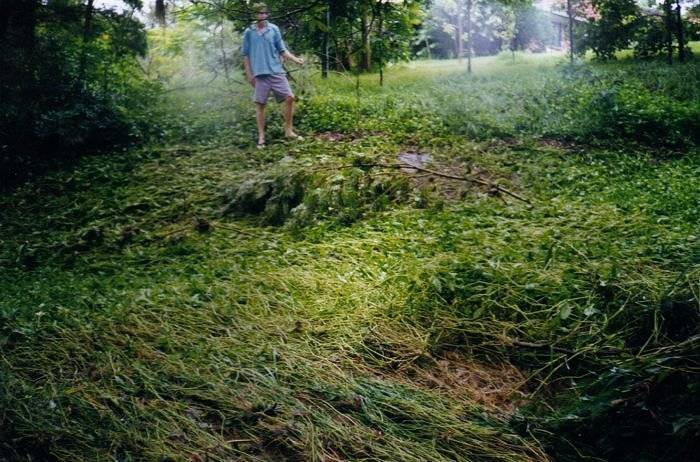 Taken by Sam McDonald