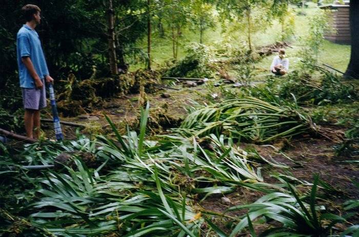 Taken by Sam McDonald