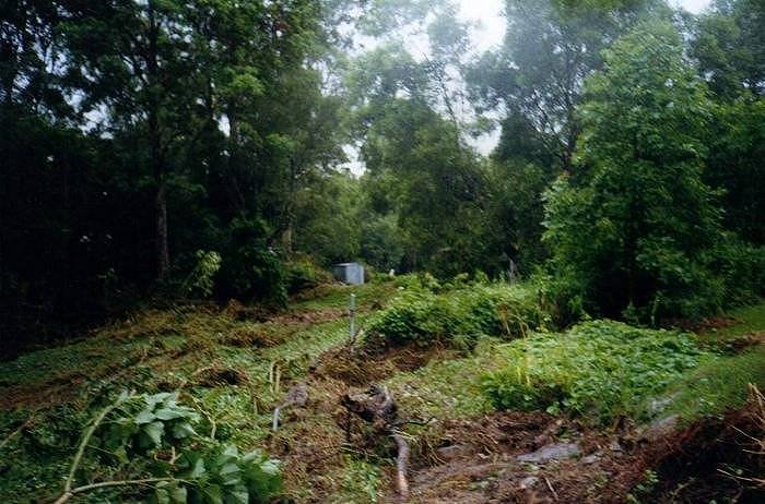 Taken by Sam McDonald