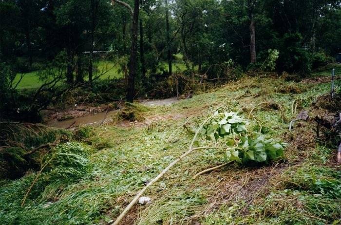 Taken by Sam McDonald