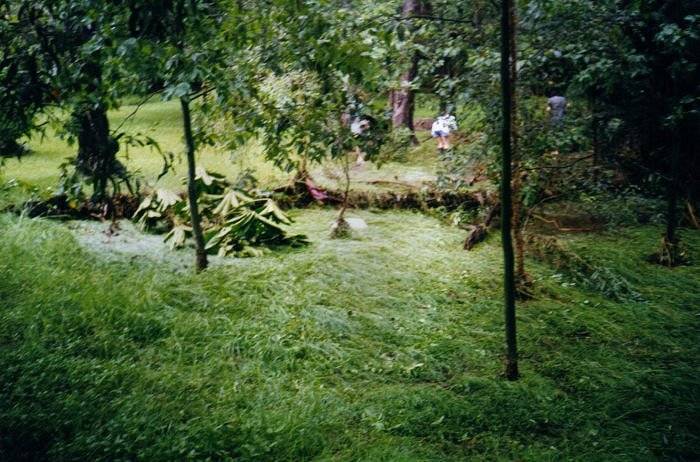 Taken by Sam McDonald