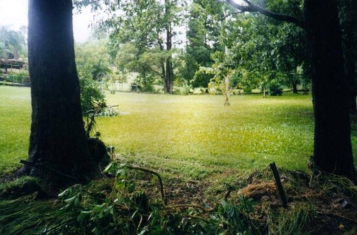 Taken by Sam McDonald