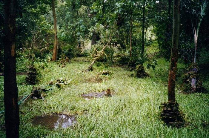 Taken by Sam McDonald