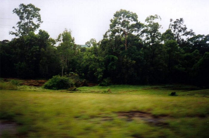 Taken by Sam McDonald