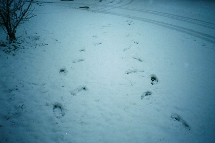 Taken by Sam McDonald