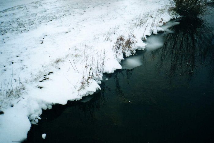 Taken by Sam McDonald