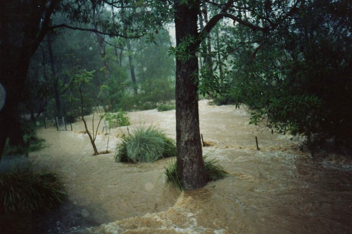 Taken by Sam McDonald