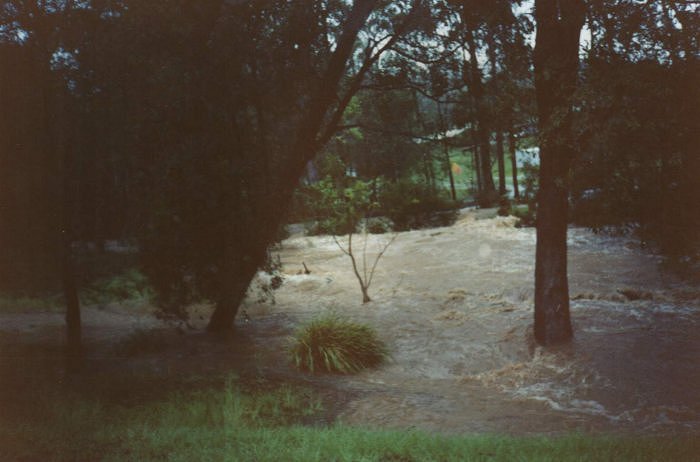 Taken by Sam McDonald