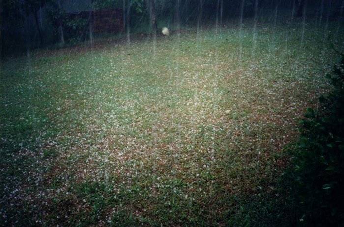 Taken by Sam McDonald