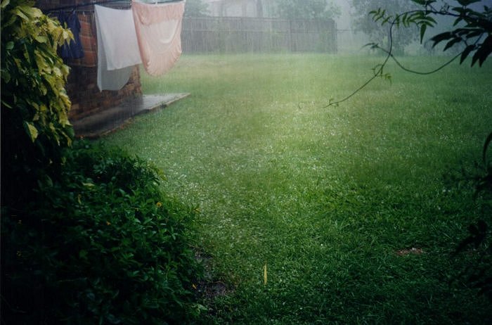 Taken by Sam McDonald