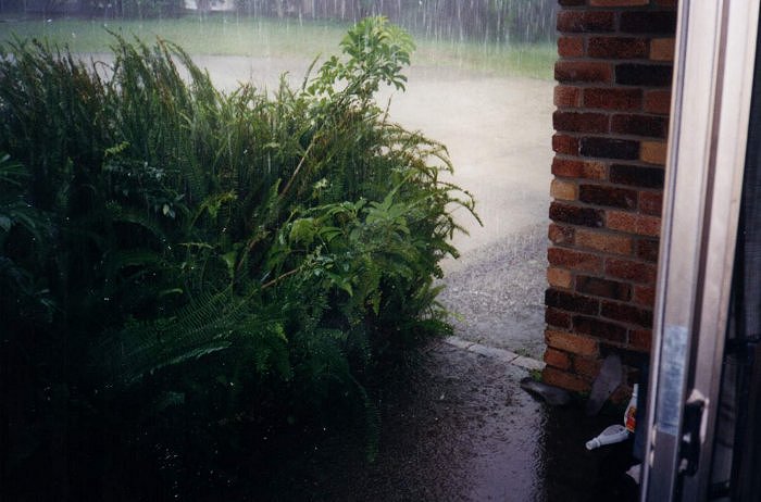 Taken by Sam McDonald