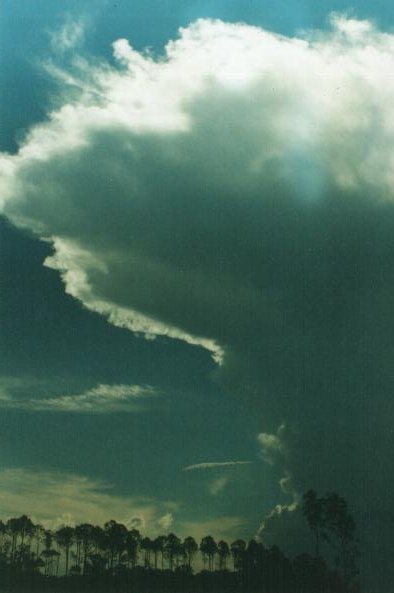 Taken by Steve Baynham