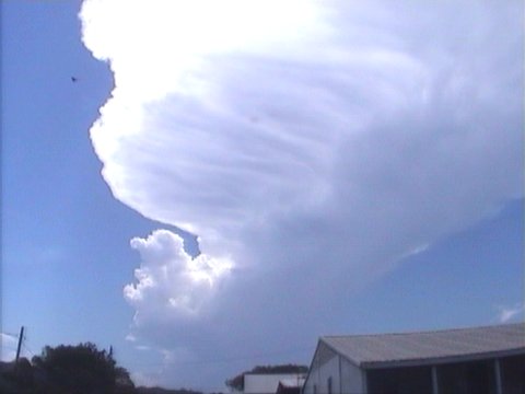 Taken by Steve Baynham