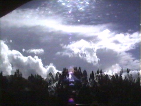 Taken by Steve Baynham