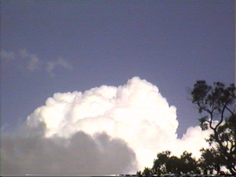 Taken by Steve Baynham