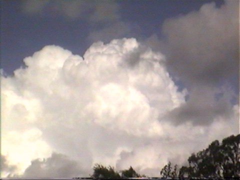 Taken by Steve Baynham