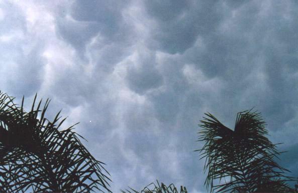 Taken by Steve Baynham