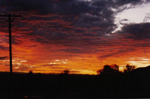 Photo  Steve Baynham