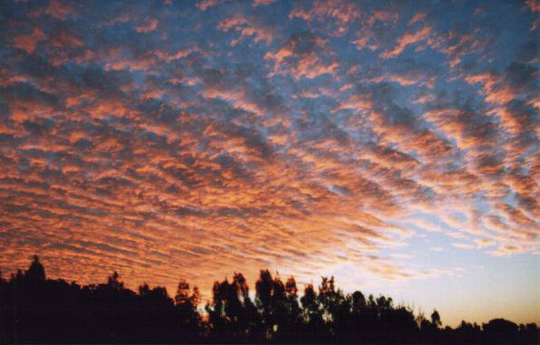 Taken by Steve Baynham