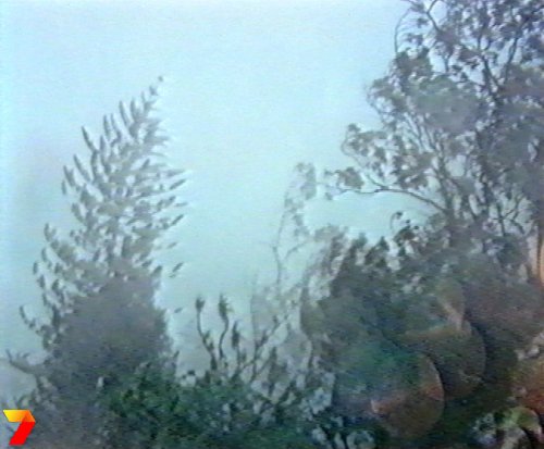 footage courtesy of Channel 7