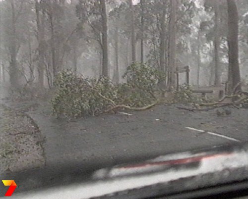 footage courtesy of Channel 7